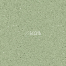 Линолеум Tarkett iQ Granit MEDIUM GREEN 0426 фото 1 | FLOORDEALER